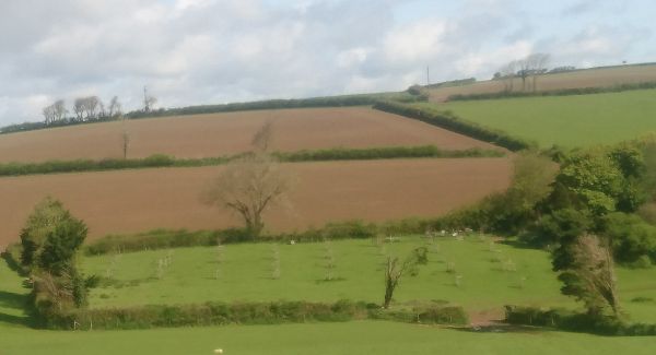 View from High House Cottages