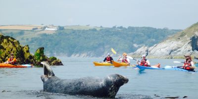 Sea Kayak Dartmouth