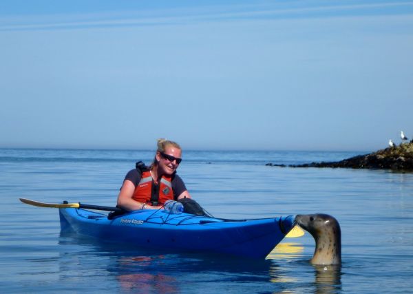 Sea Kayak Dartmouth