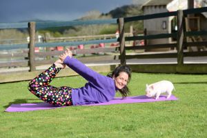 Animal Yoga