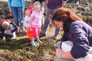 Rock Pooling