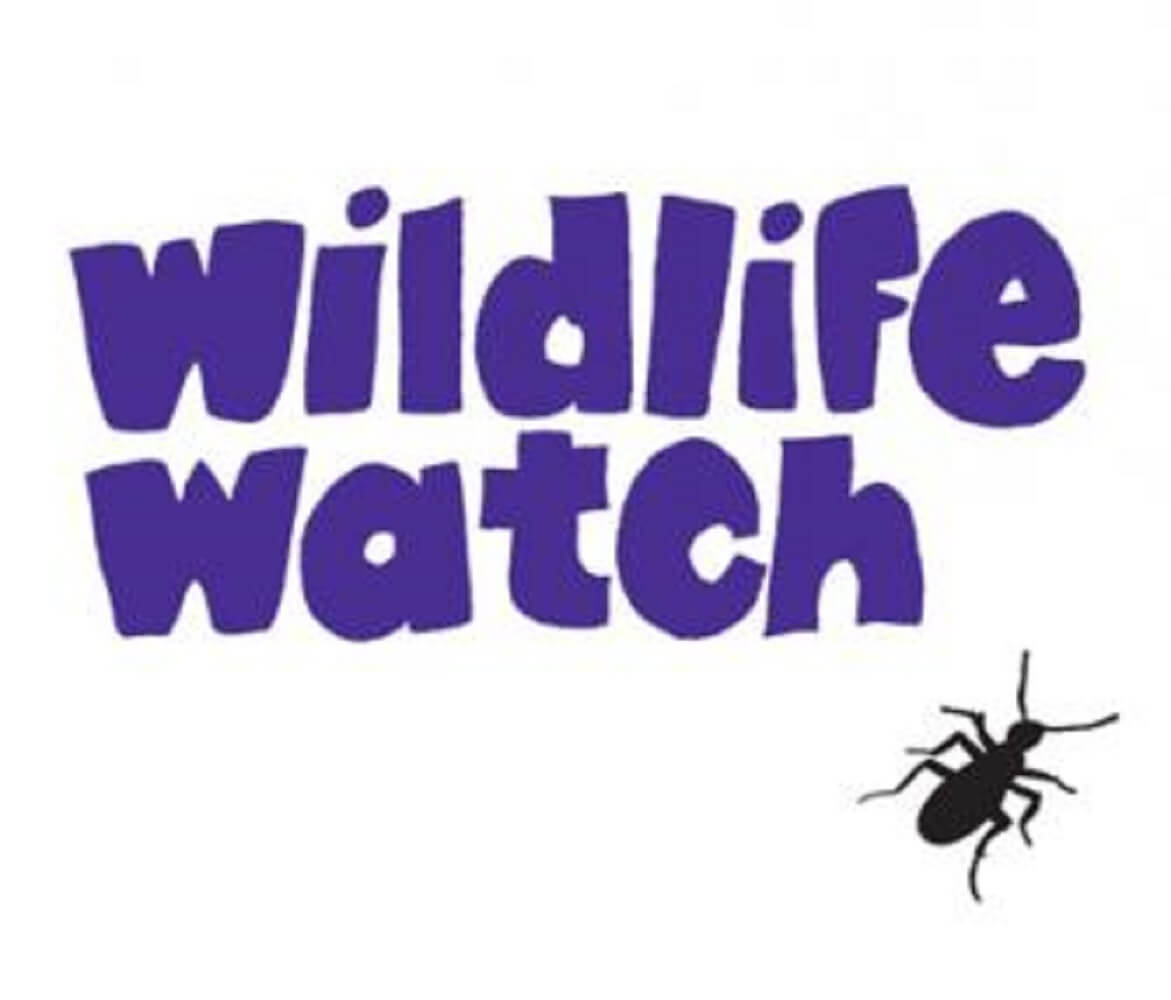 Wildlife watching. Watch Wildlife. Watching Wildlife. Watch Wildlife перевод. Watch out for Wildlife.