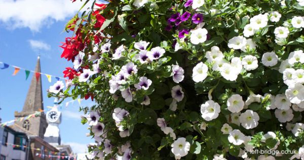 Hanging Baskets in Kingsbridge at the heart of the South Hams in Devon