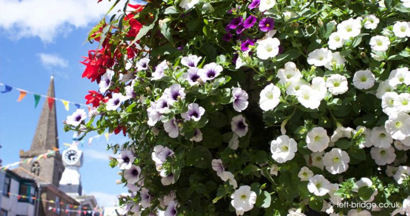 Hanging Baskets in Kingsbridge at the heart of the South Hams in Devon