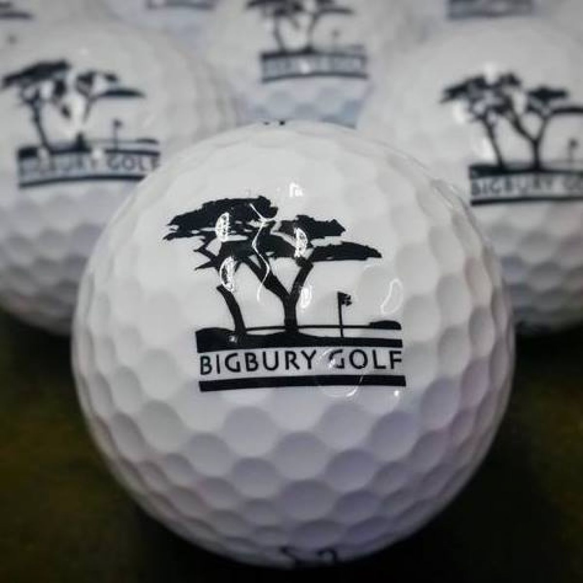 Bigbury Golf Club Balls