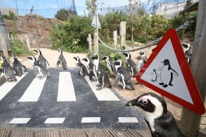 Living Coasts
